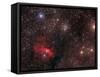 The Bubble Nebula, an Emission Nebula in Cassiopeia-null-Framed Stretched Canvas