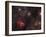 The Bubble Nebula, an Emission Nebula in Cassiopeia-null-Framed Photographic Print