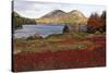 The Bubbles at Jordan Pond, Maine-George Oze-Stretched Canvas