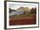 The Bubbles at Jordan Pond, Maine-George Oze-Framed Photographic Print