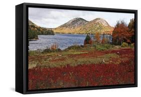 The Bubbles at Jordan Pond, Maine-George Oze-Framed Stretched Canvas
