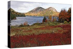 The Bubbles at Jordan Pond, Maine-George Oze-Stretched Canvas