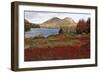 The Bubbles at Jordan Pond, Maine-George Oze-Framed Photographic Print