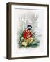 The Buccaneer from "Histoire Des Pirates" by P. Christian-Alexandre Debelle-Framed Giclee Print