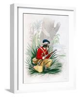 The Buccaneer from "Histoire Des Pirates" by P. Christian-Alexandre Debelle-Framed Giclee Print