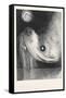 The Buddha, 1895-Odilon Redon-Framed Stretched Canvas