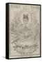 The Buddhist Deity Kanon-null-Framed Stretched Canvas