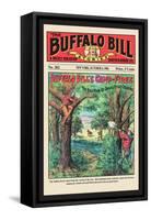 The Buffalo Bill Stories: Buffalo Bill's Camp Fires-null-Framed Stretched Canvas