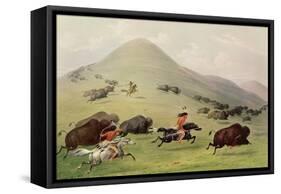 The Buffalo Hunt, C.1832 (Coloured Engraving)-George Catlin-Framed Stretched Canvas