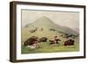 The Buffalo Hunt, C.1832 (Coloured Engraving)-George Catlin-Framed Giclee Print