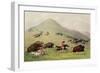 The Buffalo Hunt, C.1832 (Coloured Engraving)-George Catlin-Framed Giclee Print