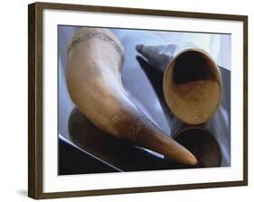 The Bugyshak-null-Framed Photographic Print