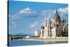 The Building of the Parliament in Budapest, Hungary-mazzzur-Stretched Canvas