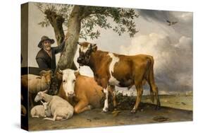 The Bull, 1647-Paulus Potter-Stretched Canvas
