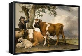 The Bull, 1647-Paulus Potter-Framed Stretched Canvas