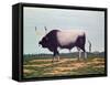The Bull with Horns-Vincent Haddelsey-Framed Stretched Canvas