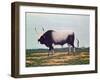 The Bull with Horns-Vincent Haddelsey-Framed Giclee Print