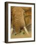 The Bull-Graeme Stevenson-Framed Giclee Print