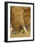 The Bull-Graeme Stevenson-Framed Giclee Print