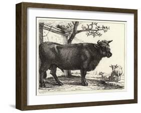 The Bull-Paulus Potter-Framed Giclee Print