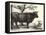 The Bull-Paulus Potter-Framed Stretched Canvas