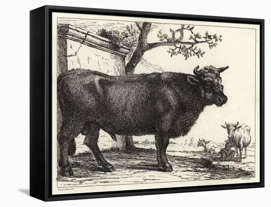 The Bull-Paulus Potter-Framed Stretched Canvas
