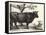 The Bull-Paulus Potter-Framed Stretched Canvas