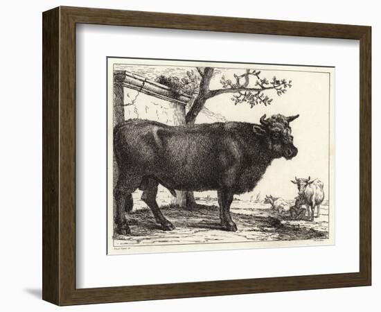 The Bull-Paulus Potter-Framed Giclee Print