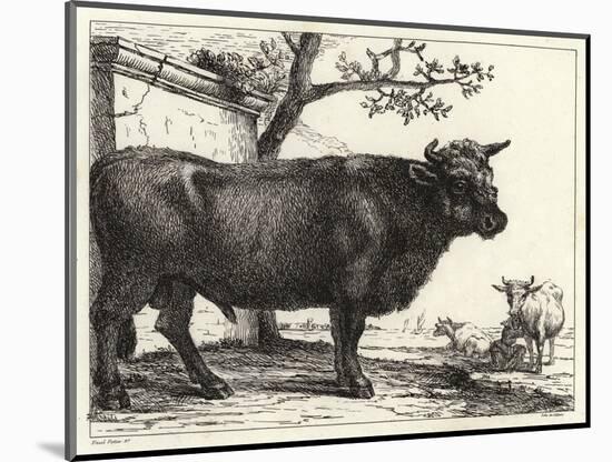 The Bull-Paulus Potter-Mounted Giclee Print