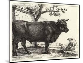 The Bull-Paulus Potter-Mounted Giclee Print