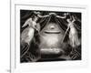 The bullet which killed Lincoln, engraving-null-Framed Giclee Print