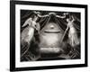 The bullet which killed Lincoln, engraving-null-Framed Giclee Print