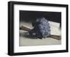 The Bunch of Violets-Edouard Manet-Framed Giclee Print