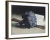 The Bunch of Violets-Edouard Manet-Framed Giclee Print