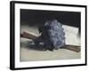 The Bunch of Violets-Edouard Manet-Framed Giclee Print