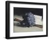 The Bunch of Violets-Edouard Manet-Framed Premium Giclee Print