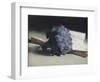 The Bunch of Violets-Edouard Manet-Framed Premium Giclee Print