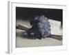 The Bunch of Violets-Edouard Manet-Framed Premium Giclee Print