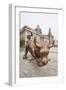 The Bund Bull in Front of the Shanghai Pudong Development Bank and Customs House-Michael DeFreitas-Framed Photographic Print