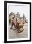 The Bund Bull in Front of the Shanghai Pudong Development Bank and Customs House-Michael DeFreitas-Framed Photographic Print