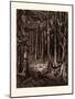 The Burial-Ground in the Fir-Forest-Gustave Dore-Mounted Giclee Print