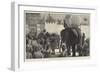 The Burmah Expedition, Entry of the British Troops into Mandalay-Richard Caton Woodville II-Framed Giclee Print