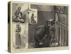 The Burmese Priests and Mr Barnum's Elephant at the Zoological Gardens-null-Stretched Canvas