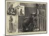 The Burmese Priests and Mr Barnum's Elephant at the Zoological Gardens-null-Mounted Giclee Print