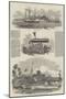 The Burmese War-null-Mounted Giclee Print