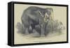 The Burmese White Elephant, Toung Taloung, Imported by Mr Barnum-null-Framed Stretched Canvas