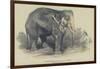 The Burmese White Elephant, Toung Taloung, Imported by Mr Barnum-null-Framed Giclee Print
