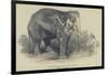 The Burmese White Elephant, Toung Taloung, Imported by Mr Barnum-null-Framed Giclee Print