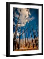 The Burn 1-Ursula Abresch-Framed Photographic Print