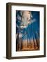 The Burn 1-Ursula Abresch-Framed Photographic Print